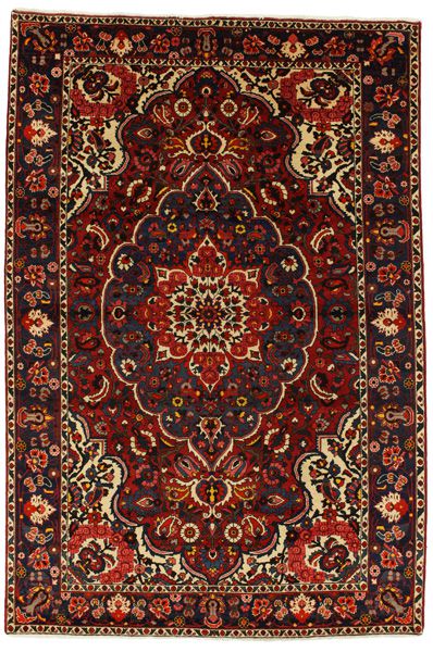 Bakhtiari Persian Rug 308x210