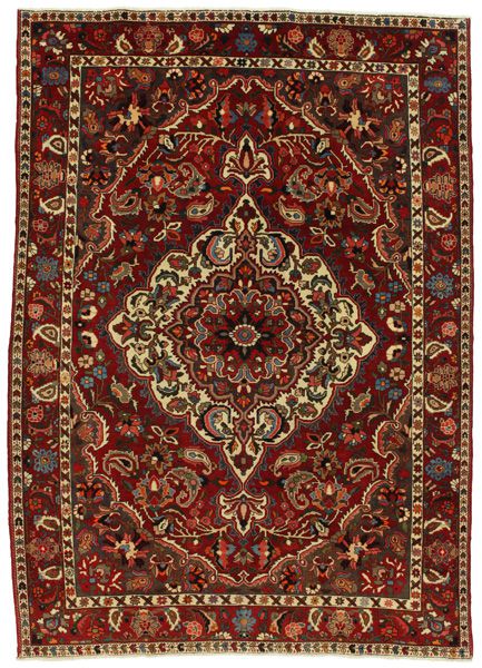 Bakhtiari Persian Rug 310x220