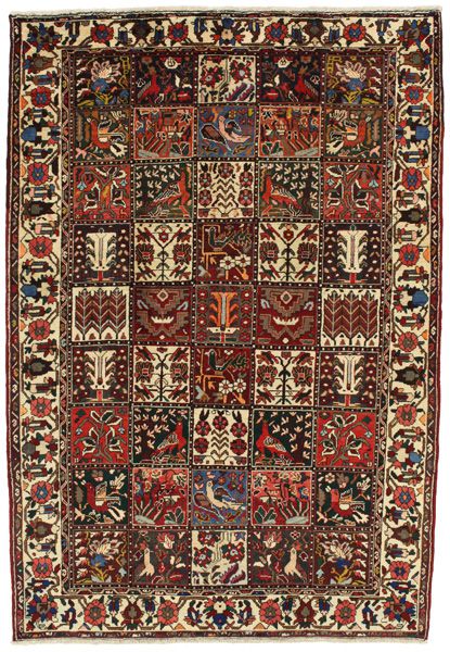 Bakhtiari Persian Rug 245x168