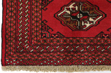 Bokhara - Turkaman Persian Rug 185x133 - Picture 3