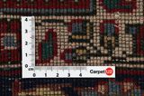 Sarouk - Farahan Persian Rug 304x198 - Picture 4
