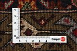 Bijar - Kurdi Persian Rug 303x215 - Picture 4