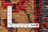 Lilian - Sarouk Persian Rug 366x270 - Picture 4