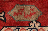 Sultanabad Persian Rug 322x210 - Picture 7
