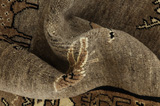 Gabbeh - Qashqai Persian Rug 200x120 - Picture 8