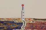 Gabbeh - Bakhtiari Persian Rug 215x133 - Picture 8