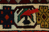 Gabbeh - Bakhtiari Persian Rug 248x146 - Picture 17