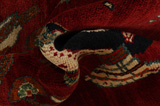 Gabbeh - Qashqai Persian Rug 245x157 - Picture 7