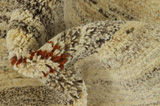 Gabbeh - Qashqai Persian Rug 137x95 - Picture 7