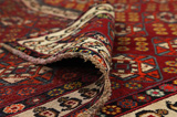 Qashqai - Shiraz Persian Rug 228x145 - Picture 5