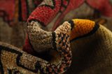 Gabbeh - Qashqai Persian Rug 185x124 - Picture 7