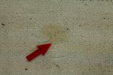 Kilim Fars - Qashqai 340x116 - Picture 17