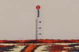 Lori - Bakhtiari Persian Rug 217x160 - Picture 8