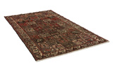 Bakhtiari - Garden Persian Rug 290x167 - Picture 1