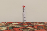 Bakhtiari - Garden Persian Rug 294x202 - Picture 8