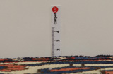 Bakhtiari - Garden Persian Rug 312x162 - Picture 8