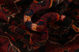 Lilian - Sarouk Persian Rug 283x168 - Picture 7
