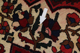 Bakhtiari Persian Rug 306x205 - Picture 17