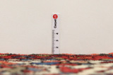 Bakhtiari - Garden Persian Rug 295x214 - Picture 8