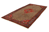 Songhor - Koliai Persian Rug 320x167 - Picture 2