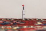 Farahan - Sarouk Persian Rug 312x210 - Picture 8