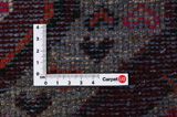 Tuyserkan - Hamadan Persian Rug 303x158 - Picture 4