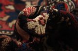 Bakhtiari - Garden Persian Rug 294x158 - Picture 7