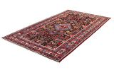 Nahavand - Hamadan Persian Rug 282x156 - Picture 2