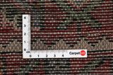 Borchalou - Hamadan Persian Rug 280x151 - Picture 4