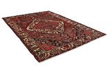 Bakhtiari Persian Rug 307x220 - Picture 1