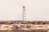 Bakhtiari - Garden Persian Rug 334x162 - Picture 8