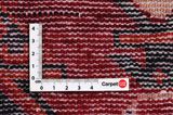 Lori - Bakhtiari Persian Rug 241x163 - Picture 4