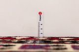 Mir - Sarouk Persian Rug 305x159 - Picture 8
