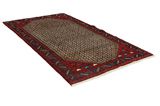 Songhor - Koliai Persian Rug 287x162 - Picture 1