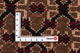 Songhor - Koliai Persian Rug 287x162 - Picture 4