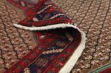 Songhor - Koliai Persian Rug 287x162 - Picture 5