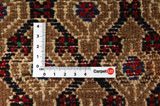 Songhor - Koliai Persian Rug 300x152 - Picture 4