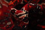 Qashqai - Shiraz Persian Rug 240x148 - Picture 7