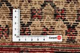 Songhor - Koliai Persian Rug 300x157 - Picture 4