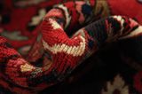 Bakhtiari Persian Rug 315x222 - Picture 7
