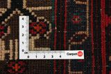 Songhor - Koliai Persian Rug 313x150 - Picture 4