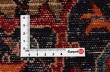 Songhor - Koliai Persian Rug 320x160 - Picture 4