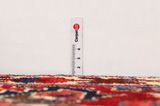 Bakhtiari Persian Rug 270x162 - Picture 8