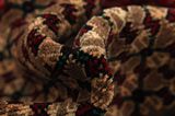 Songhor - Koliai Persian Rug 300x150 - Picture 7