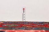 Songhor - Koliai Persian Rug 300x150 - Picture 8