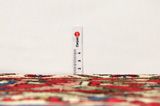 Jozan - Sarouk Persian Rug 330x205 - Picture 8