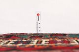 Afshar - Sirjan Persian Rug 234x146 - Picture 8