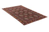 Afshar - Sirjan Persian Rug 232x135 - Picture 1
