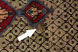 Songhor - Koliai Persian Rug 300x152 - Picture 17