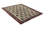 Afshar - Sirjan Persian Rug 212x162 - Picture 1